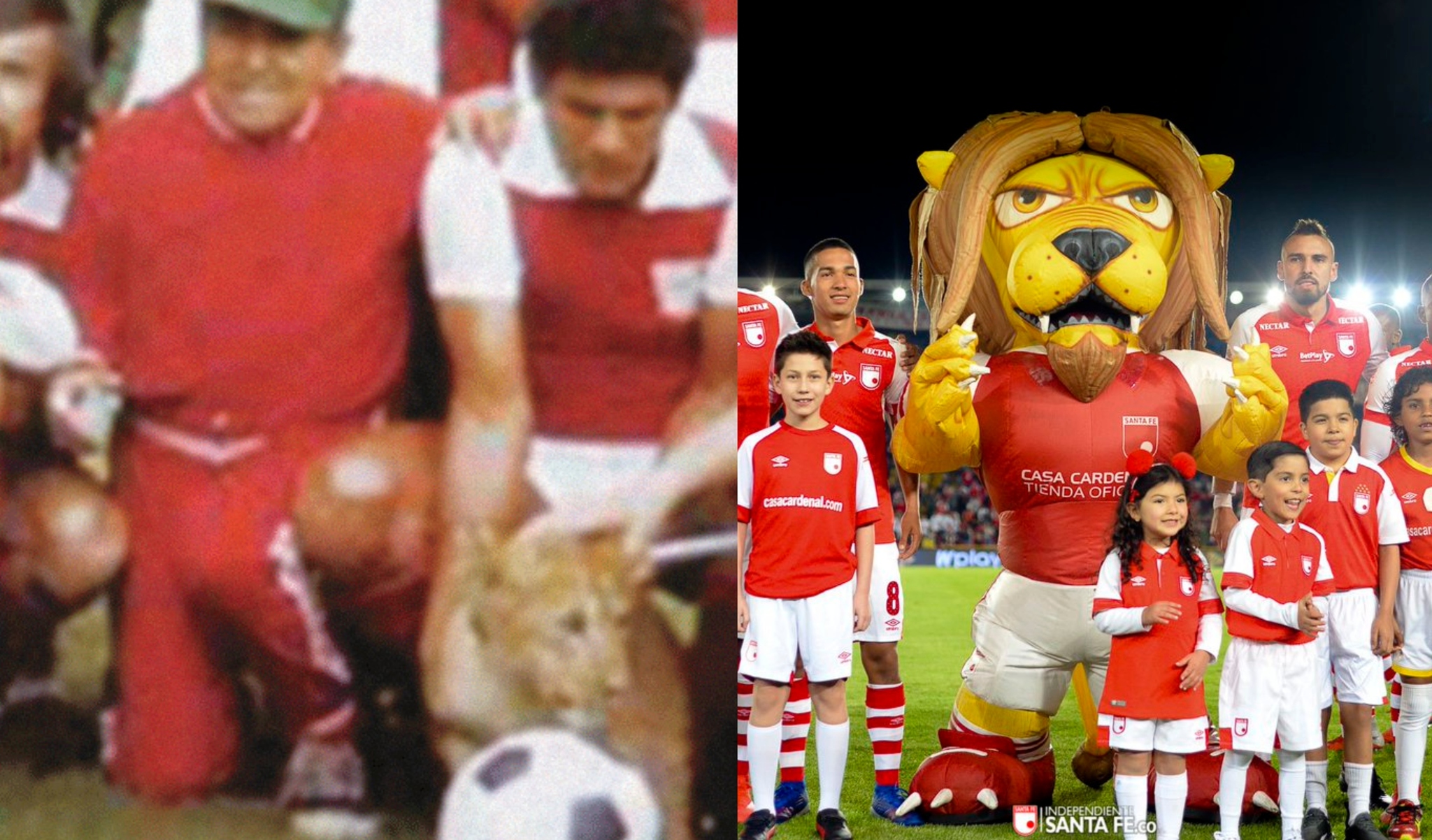 Liga Betplay 2020 Asi Fue Como Un Leon Termino Siendo La Mascota De Santa Fe Marca Claro Colombia