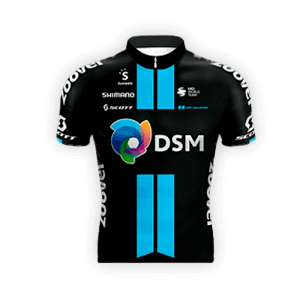 Team DSM